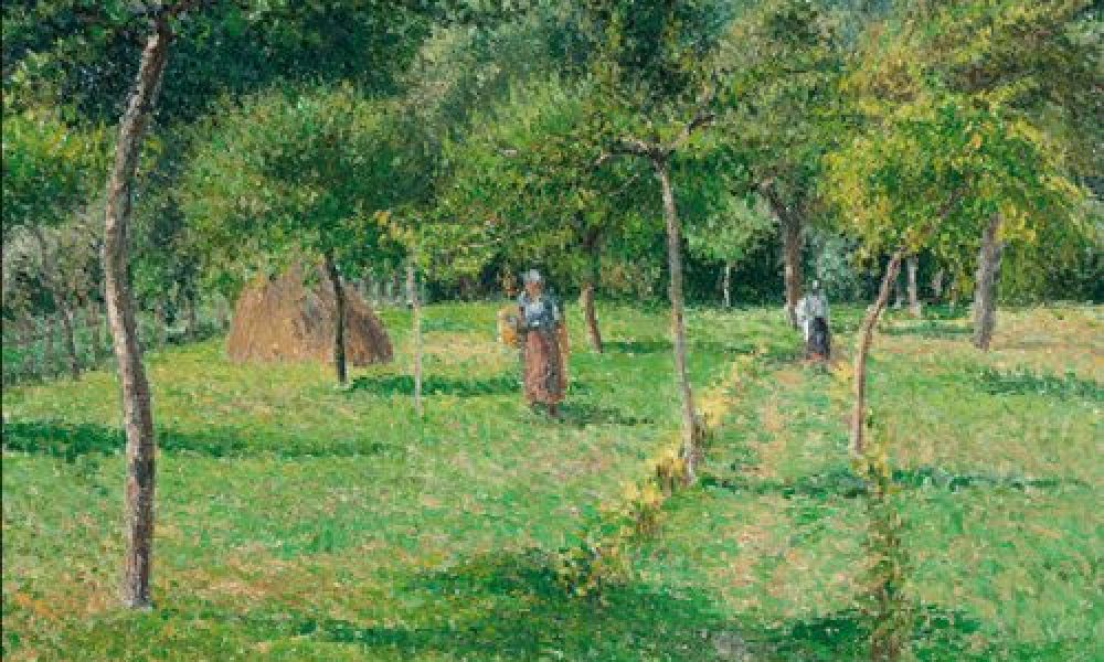 L'Orto incontra l'Arte